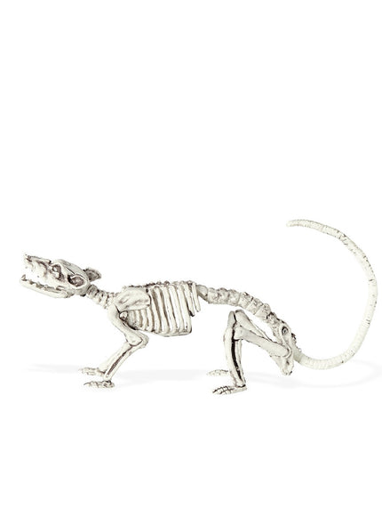 Squelette de rat