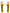 Gants abeille femme