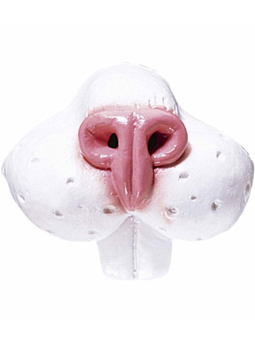 Nez de lapin avec dents