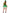 Déguisement leprechaun irlandais femme