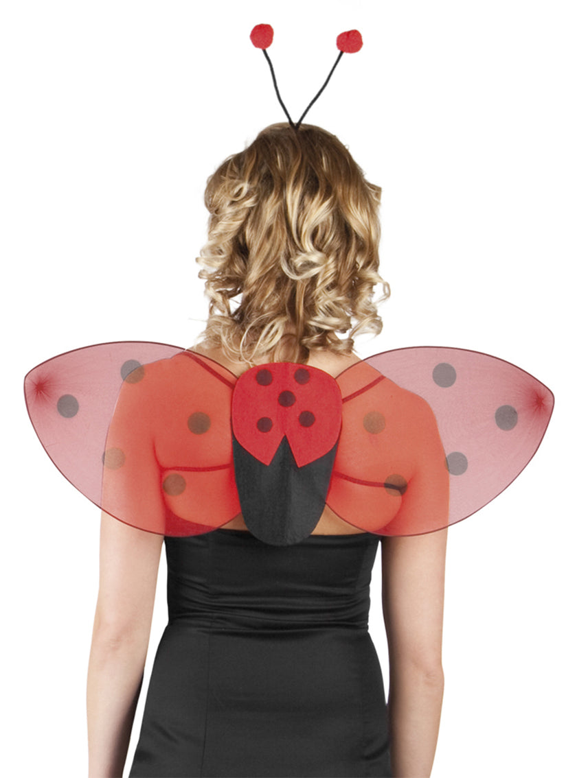 Kit ailes et diadème de coccinelle pour femme