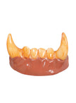 Dents loup garou jaunes adulte