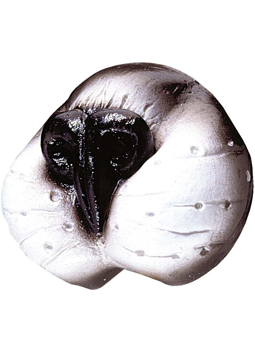 Nez de chat câlin adulte