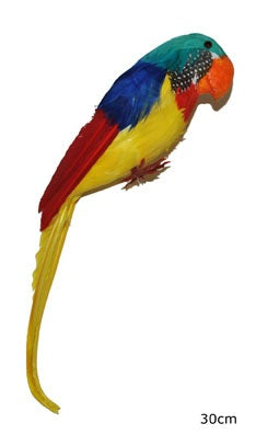 perroquet avec plumes