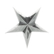 LANTERNE ÉTOILE 60CM ARGENTEE
