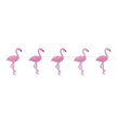 GUIRLANDE FLAMANT ROSE 3M