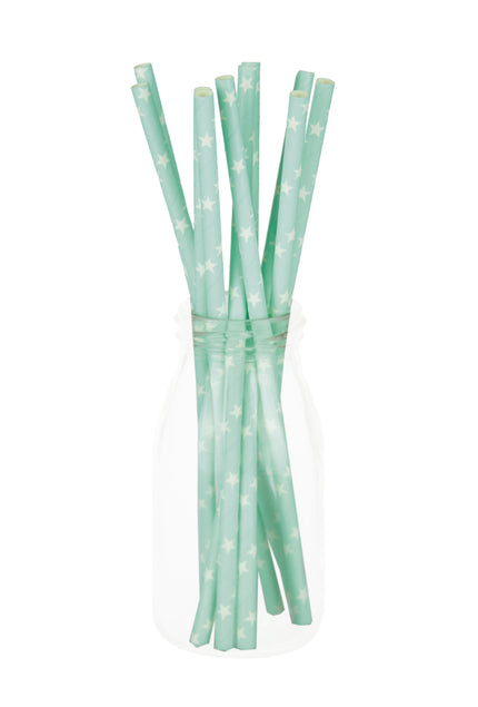 SET 10 PAILLES BLEUES ETOILES BLANCHES