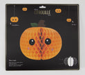 CITROUILLE ALVEOLEE SWEETY HALLOWEEN