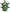Masque de Weed