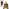 armure avec cape mix adulte