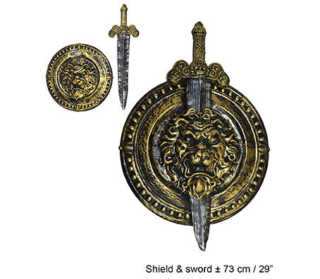 set bouclier lion et glaive de chevalier