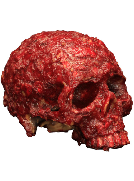 Tête de mort moisissure en résine