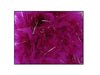 boa 45gr fuchsia & argent 1.9m