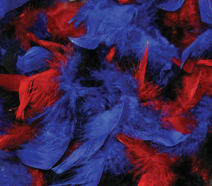 boa 50gr noir bleu & rouge 1.9m