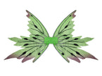 ailes de fée papillon vert