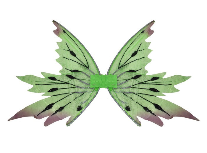 ailes de fée papillon vert