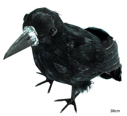 corbeau avec plumes 38cm
