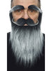 Moustache avec barbe et sourcils gris