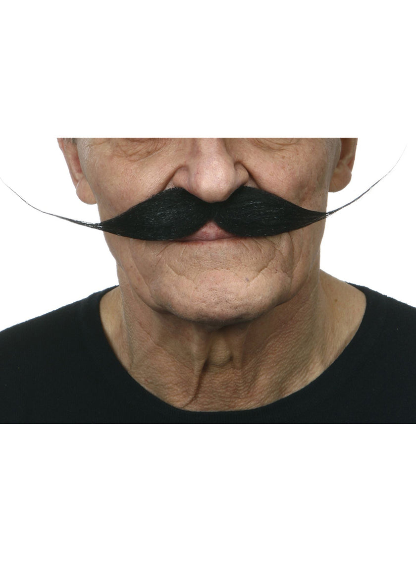 Moustache peintre fou homme
