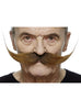 Moustache recoiffée châtain homme