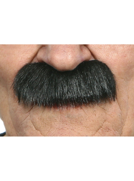 Moustache noire adulte