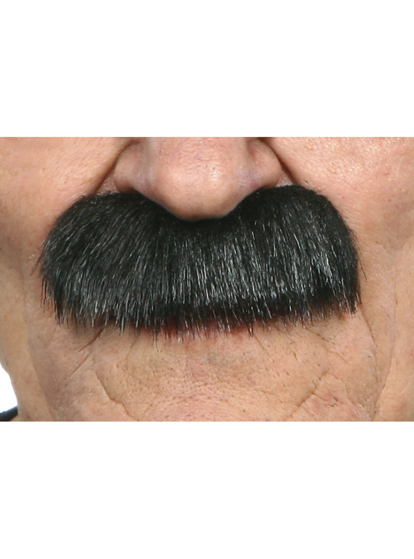 Moustache noire adulte