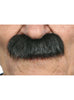 Moustache noire adulte