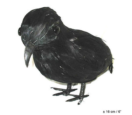 corbeau noir 16cm
