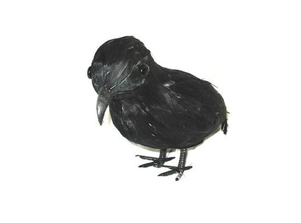 corbeau noir 16cm