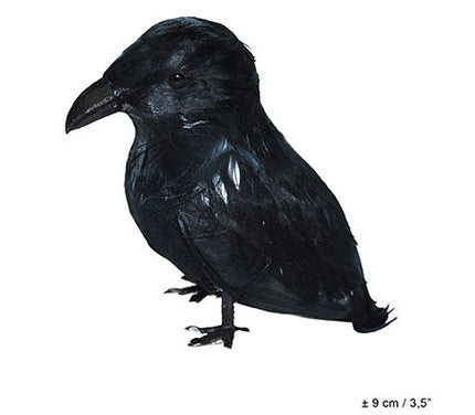 corbeau noir 9cm