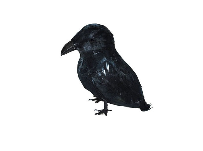 corbeau noir 9cm