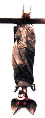 chauve-souris à suspendre 38cm