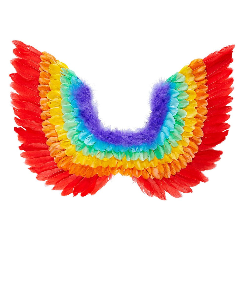 Ailes en plumes arc-en-ciel adulte
