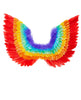 Ailes en plumes arc-en-ciel adulte