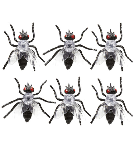 6 mouches infectées