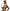 Chapeau Steampunk avec lunettes adulte