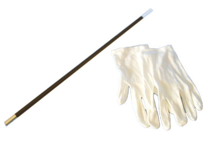 paire de gants de magicien avec baguette magique