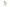 collant pour femme néon fluo à trou vert