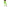 pantalon legging fluo vert adulte