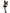 Déguisement papillon sexy femme