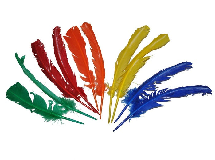 lot de 10 plumes grandes