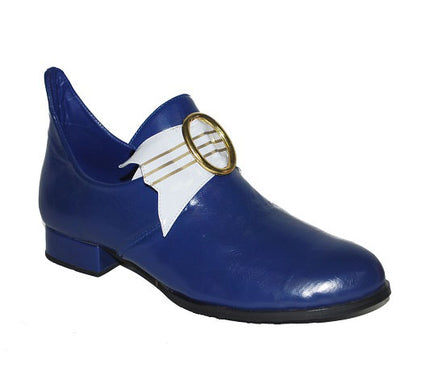 paire de chaussures de prince bleu pointure 40-45