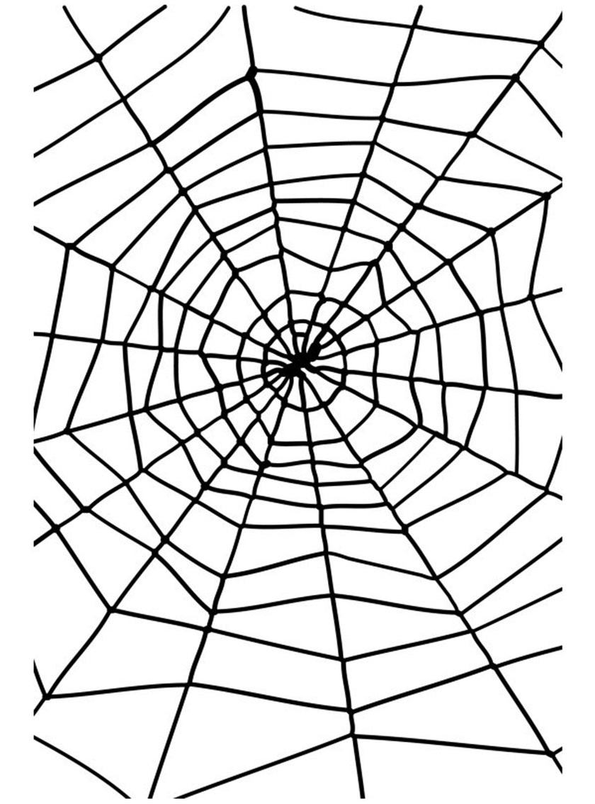 Toile d'araignée noire