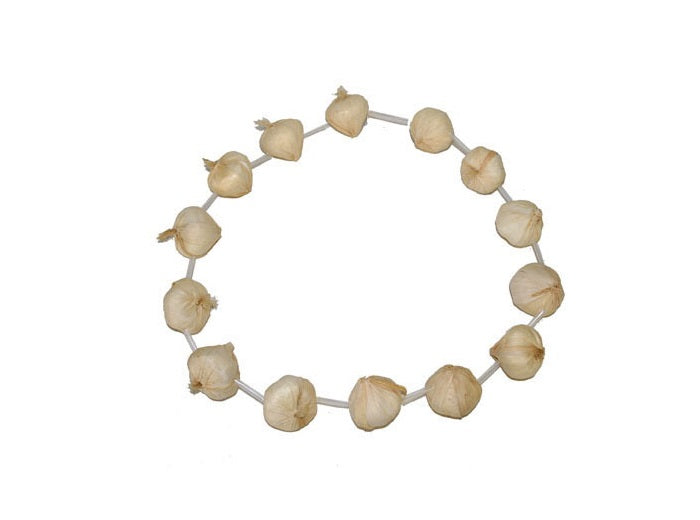 collier gousse d''ail en plastique