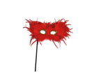 loup avec baguette et plumes rouge