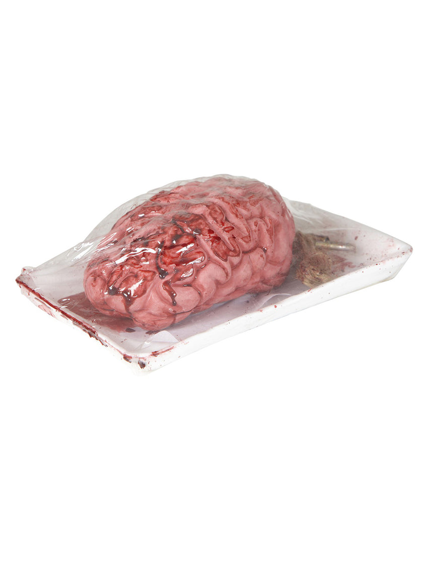 Cerveau sang sous vide