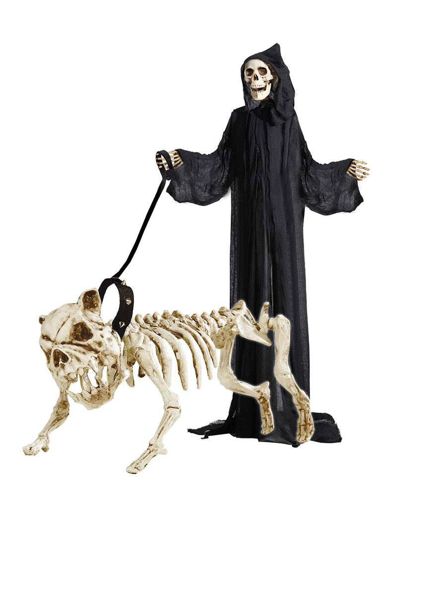 Squelette de chien avec laisse