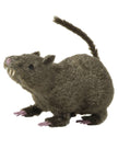 Souris poilue marron