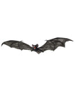 Chauve souris grandes ailes