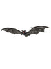 Chauve souris grandes ailes